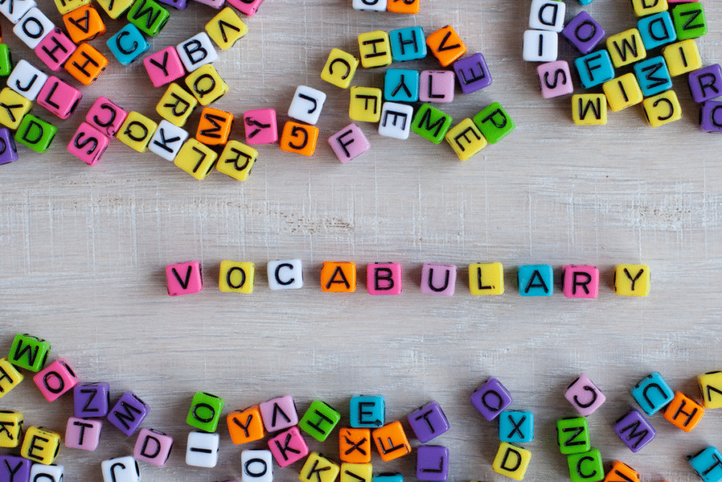 VOCABULARY